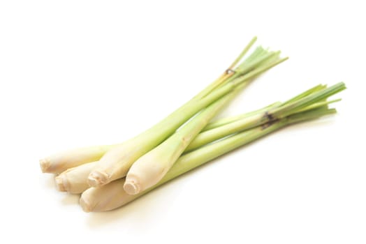 Fresh green lemongrass isolated on white background.