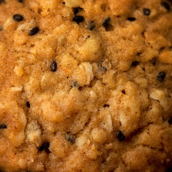Close up vegan oatmeal chiaseeds cookies with natural light.