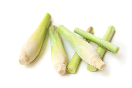 Fresh green lemongrass slices isolated on white background.