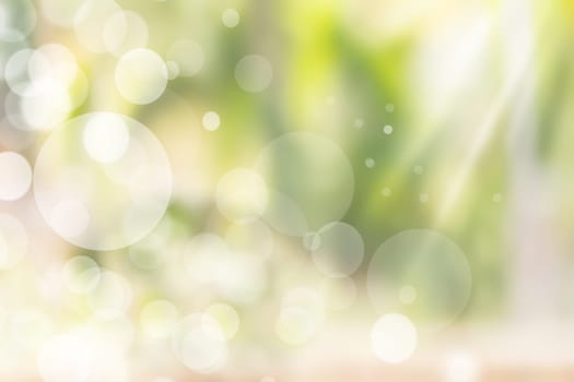 Abstract natural bokeh lights with shining sun rays. Beautiful light green background texture.