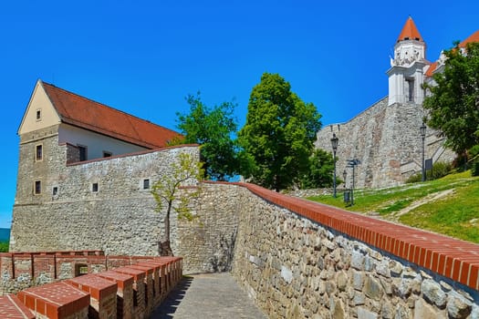 Part of Defencive Wall of the Main Castle
