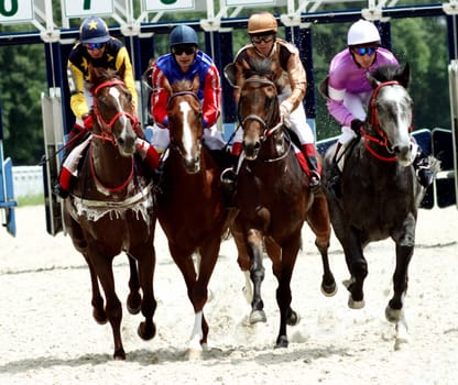 Horse racing.