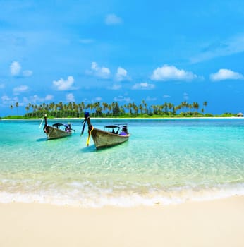 tropical beach in Maldives with few palm trees and blue lagoon