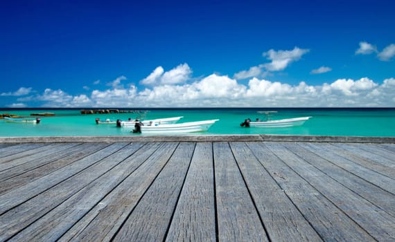 beautiful beach and tropical sea