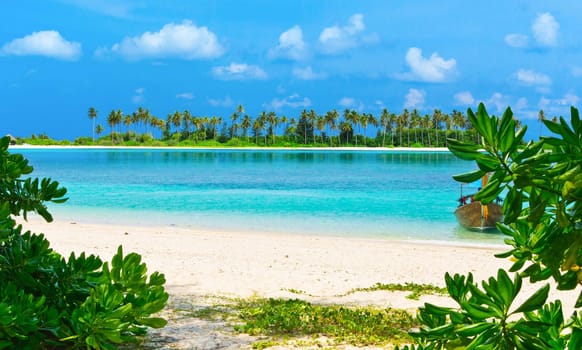 tropical beach in Maldives with few palm trees and blue lagoon