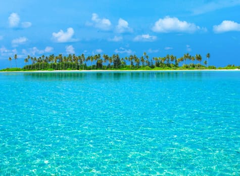 tropical beach in Maldives with few palm trees and blue lagoon