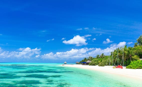 tropical beach in Maldives with few palm trees and blue lagoon