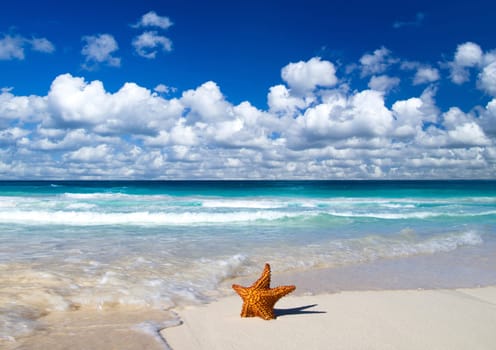 beautiful beach and tropical sea