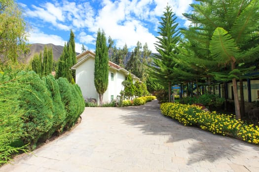 Garden landscape..