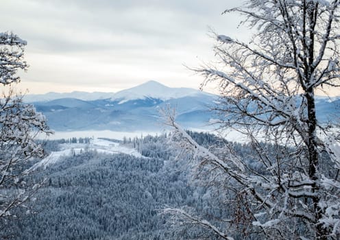 beautiful mountains in winter, the theme of mountain sports, skiing, Bukovel, Carpathians, Ukraine