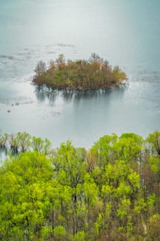 Cluster of Green trees on the tiny island on the Skadar Lake, Skadar Lake National Park, Montenegro