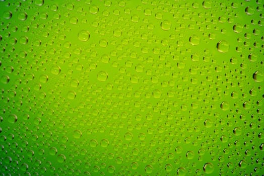 Green water drops background close up.