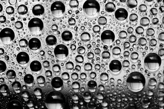 Black and white water drops background close up.