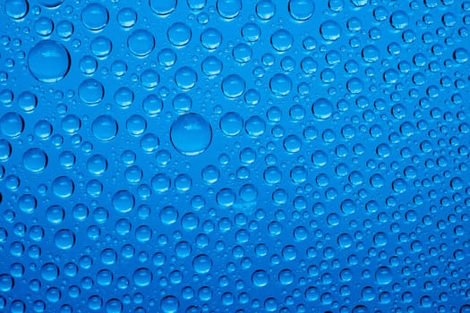 Blue water drops background close up.