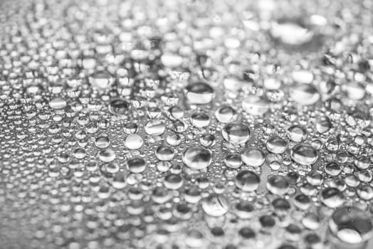 Water Drops On Grey Background. Close Up.