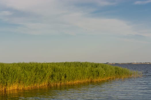 National Park Vorpommersche Boddenlandschaft on Fischland at the Baltic resort Ahrenshoop in Germany