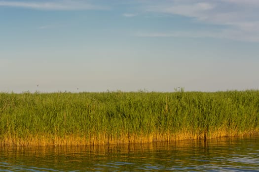 National Park Vorpommersche Boddenlandschaft on Fischland at the Baltic resort Ahrenshoop in Germany