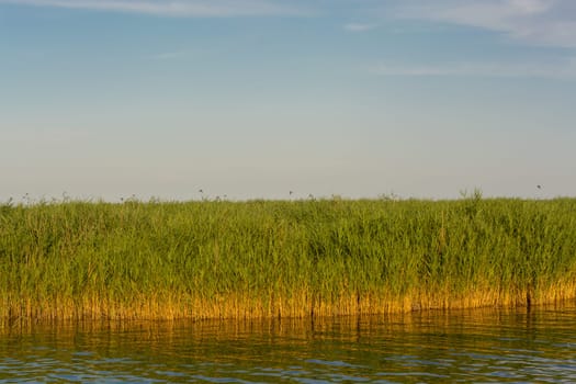 National Park Vorpommersche Boddenlandschaft on Fischland at the Baltic resort Ahrenshoop in Germany