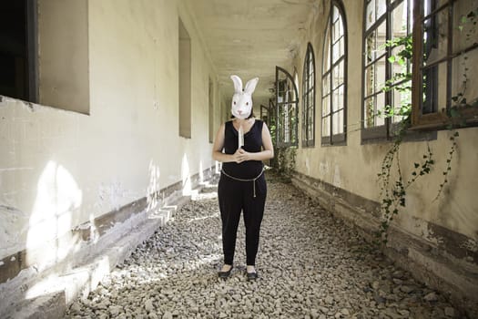 Terrifying killer rabbit with mask, halloween