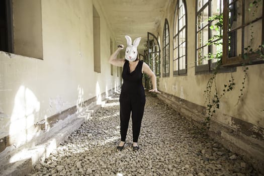 Rabbit attack woman in abandoned house, halloween