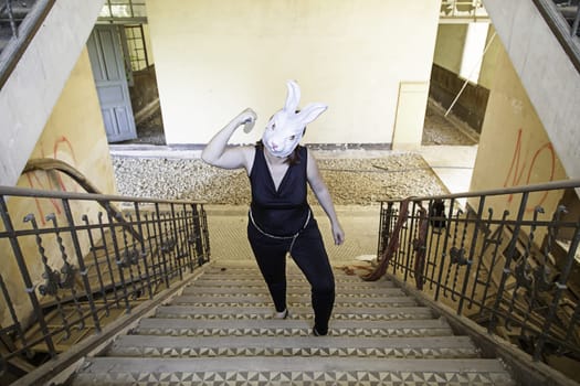 Stairs killer rabbit mask, halloween