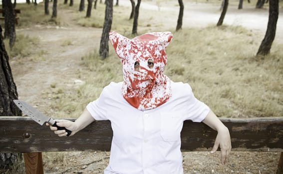 Murderer in forest with knife in park, halloween