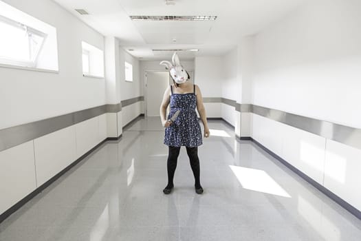 Girl in halloween rabbit mask, fear and terror