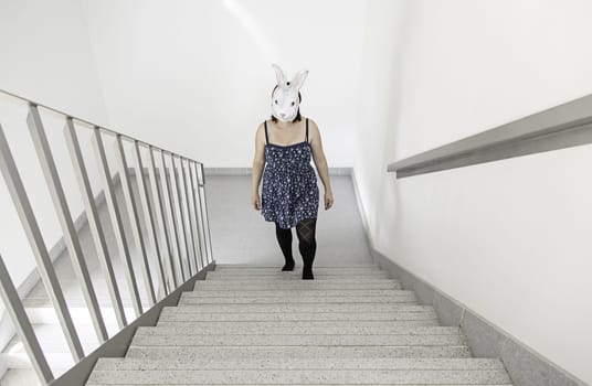 Girl climbing stairs hospital rabbit, halloween