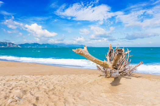 Scenic view of Nha Trang beach at sunny day. Beautiful tropical landscape. Snag on the foreground