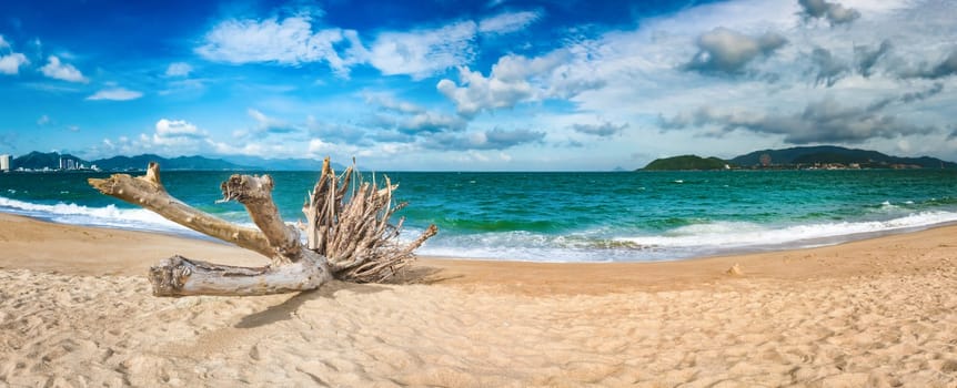 Scenic view of Nha Trang beach at sunny day. Beautiful tropical landscape. Snag on the foreground. Panorama