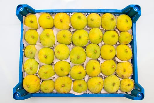 Healthy fig fruit