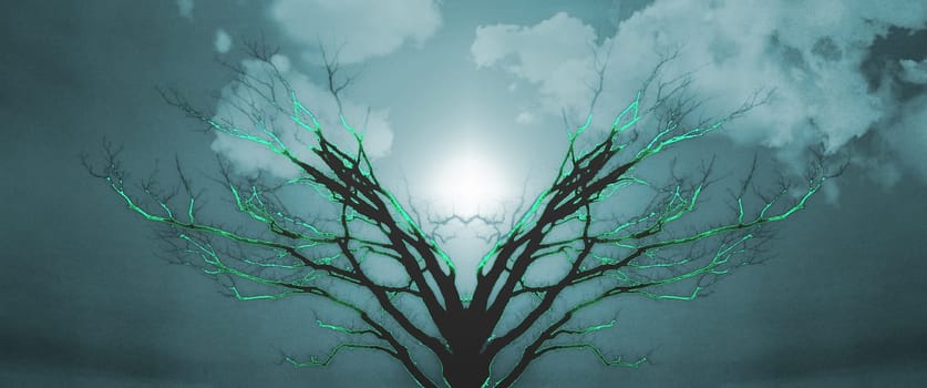 Mystic Tree of Life. Sunset or Sunrise