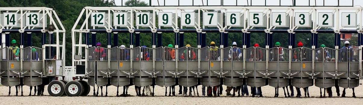 Start horse racing in Pyatigorsk.