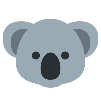 australia koala face head adorable grey illustration