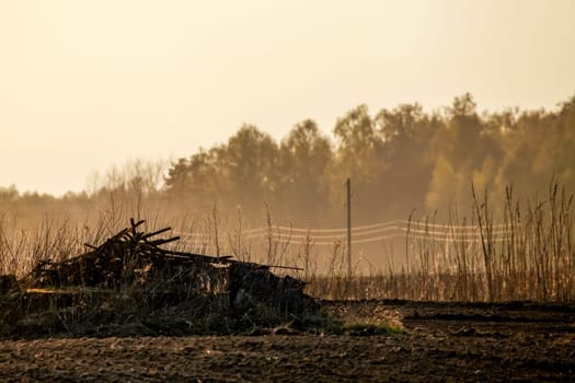 Spring landscape with plowed field and branch stack. Plowed cereal field with mist in spring. Classic rural landscape in Latvia. Mist on plowed field in spring season.