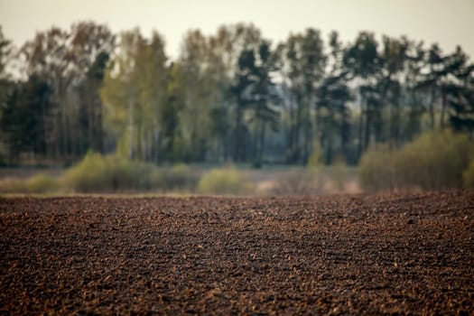 Spring landscape with plowed field. Plowed cereal field with mist in spring. Classic rural landscape in Latvia. Plowed field in spring season.