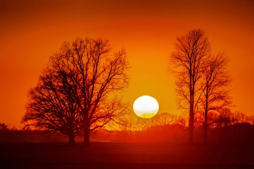 Silhouette of trees in sunset. Trees at sunset. Beautiful spring landscape in Latvia. Beautiful landcape of trees with sunset twilight background. Red orange light on sunset sky over the trees.