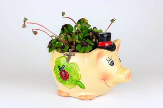 Lucky charm pig with four leaf clover