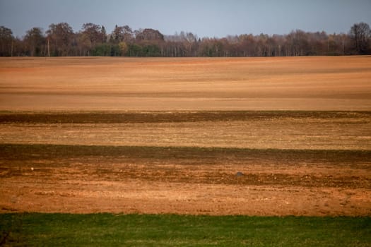 Spring landscape with plowed field. Plowed cereal field in spring. Classic rural landscape in Latvia. Plowed field in spring season.