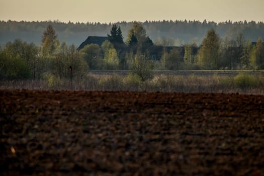Spring landscape with plowed field. Plowed cereal field with mist in spring. Classic rural landscape in Latvia. Plowed field in spring season.