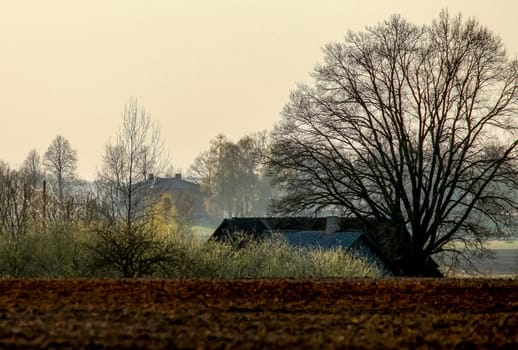 Spring landscape with plowed field. Plowed cereal field with mist in spring. Classic rural landscape with misty field and country house in Latvia.