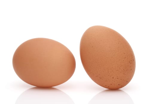 Brown egg on a white background, in a studio shot
