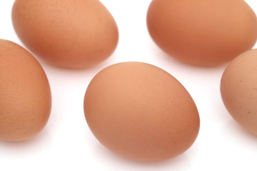 Brown egg on a white background, in a studio shot