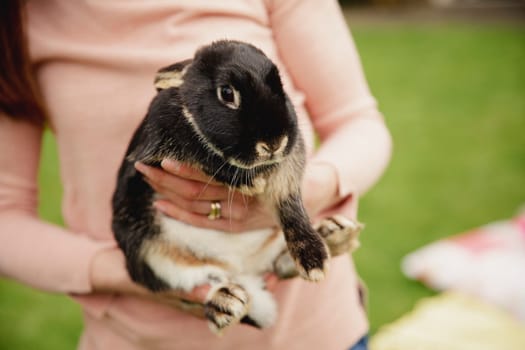 Close-up of an unrecognisable person holding a pet rabbit while standing outdoors.