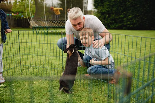 Father and son kneeling down next to a cage where the pet rabbit is standing up to sniff their hands.