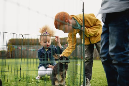 Low angle view of a young boy leaning over a rabbits cage fence to stroke it. There is a little girl kneeling by the cage to see the rabbit.