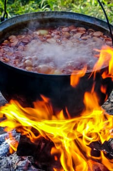 Cooking soup in cast iron boiler on burning campfire. Pot with soup over the open fire outdoors. Tourism in Latvia. Cooking soup in a pot on campfire.
