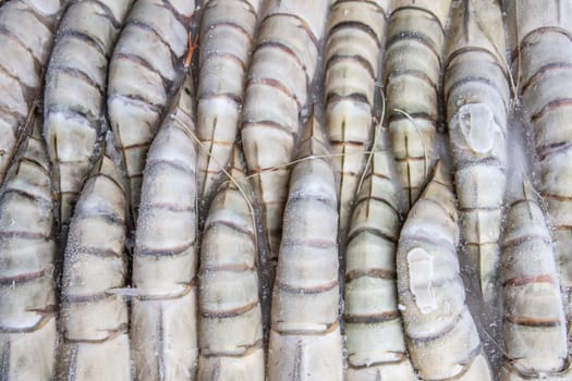 Frozen seafood background. Closeup of frozen fresh raw tiger shrimps. Top view. Concept healthy food.