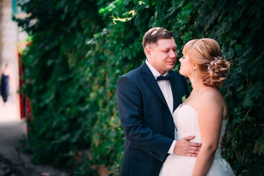 bride and groom on the background of the garden fence.