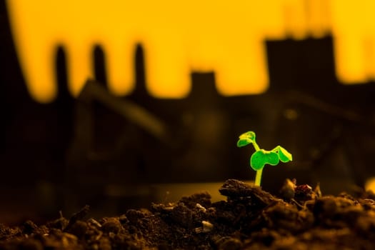 Young green plant in soil on background oil rocking machine.